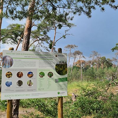 Unsere Wälder sterben