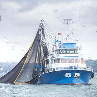 Schleppnetz-Fischerei