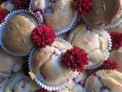 Chi-Cafe-Weihnachtsmuffins – Dr. Jacob's Rezepte