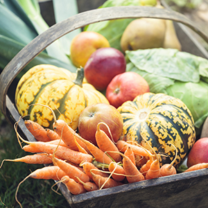 Herbstgemüse –Saisonal, nährstoffreich & lecker